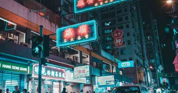 免费vp下载